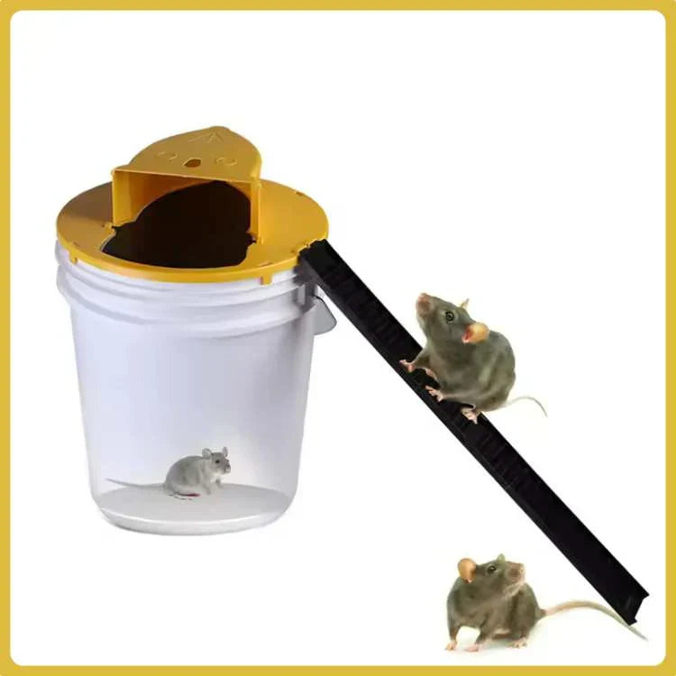 Piège à souris SmartCatch sans mains avec design sécurisé