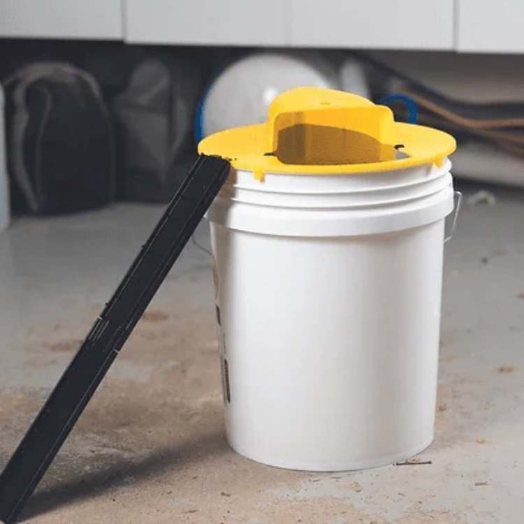 Piège à souris SmartCatch sans mains avec design sécurisé