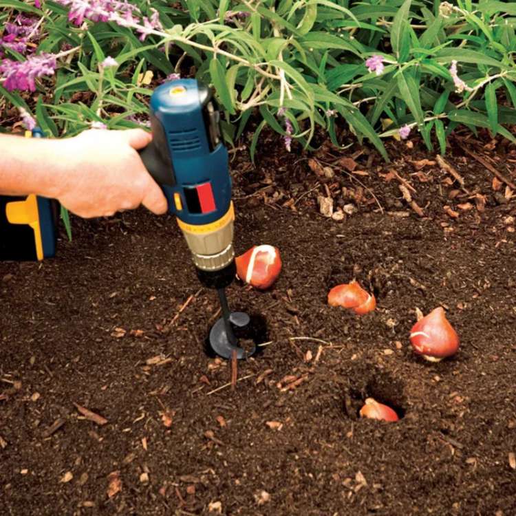 Foret à terre SoilBuster