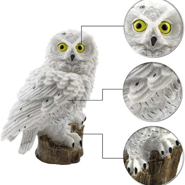 Lampe Décorative de Jardin Solaire