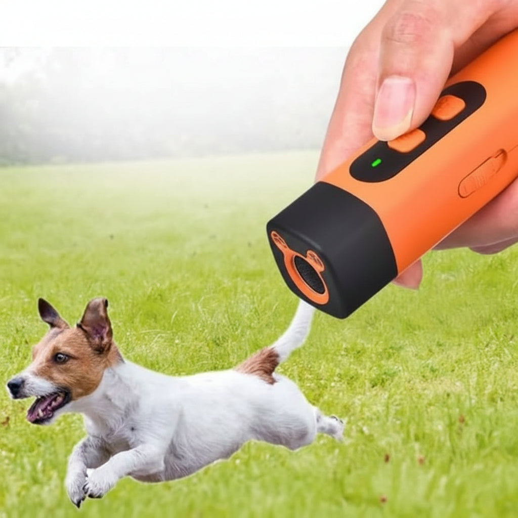 BARKLUNA – Dispositif de Formation Efficace pour Réduire les Aboiements Excessifs