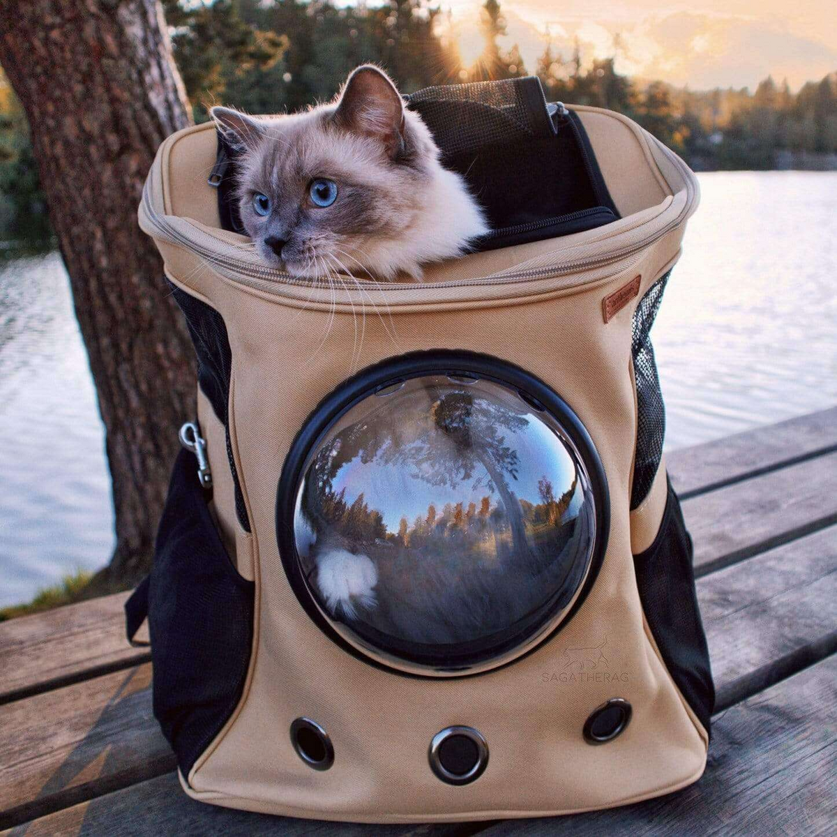 Sac à dos de voyage pour chat avec ventilation à bulles