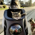 Sac à dos de voyage pour chat avec ventilation à bulles