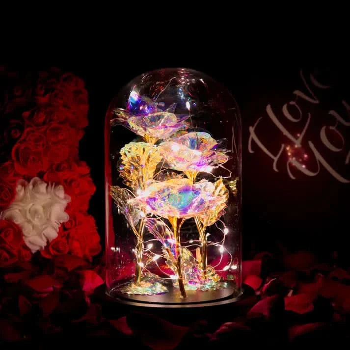 Rose sous cloche – Élégance intemporelle et radieuse