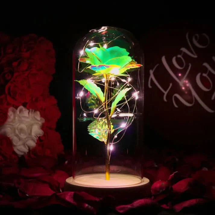 Rose sous cloche – Élégance intemporelle et radieuse