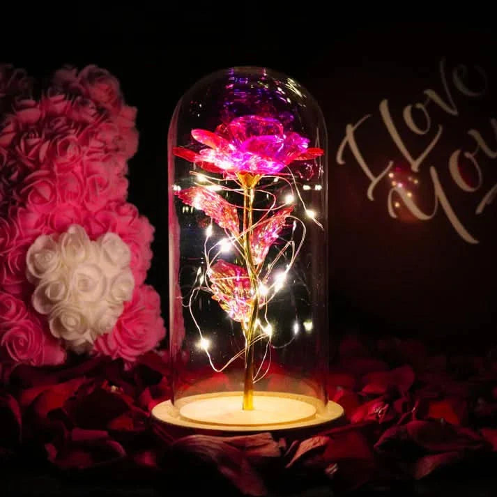 Rose sous cloche – Élégance intemporelle et radieuse