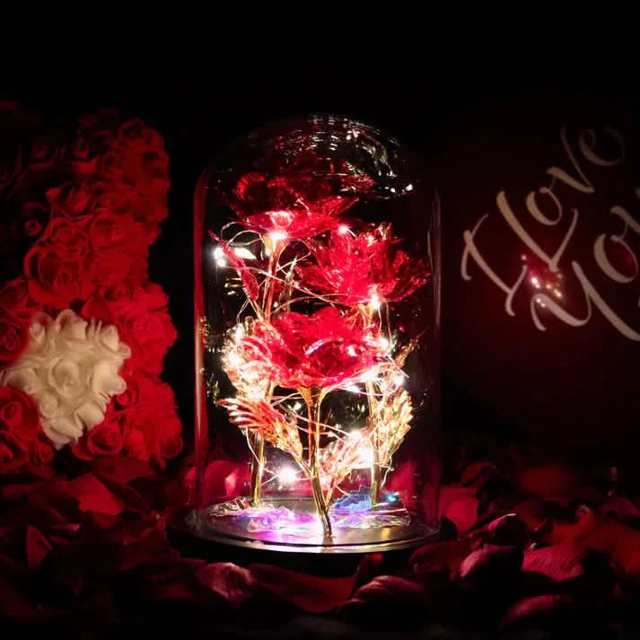 Rose sous cloche – Élégance intemporelle et radieuse