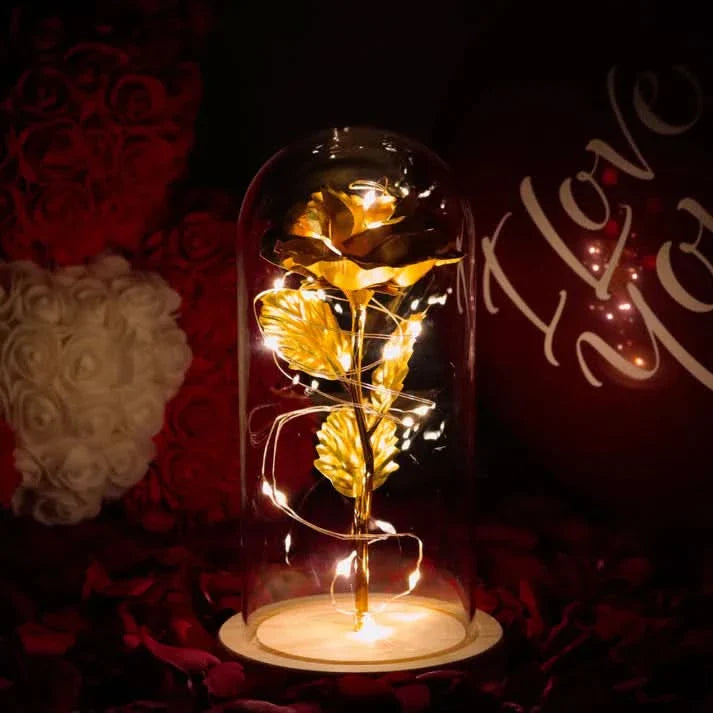 Rose sous cloche – Élégance intemporelle et radieuse