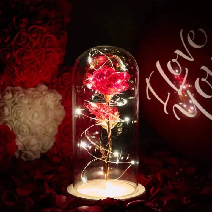 Rose sous cloche – Élégance intemporelle et radieuse