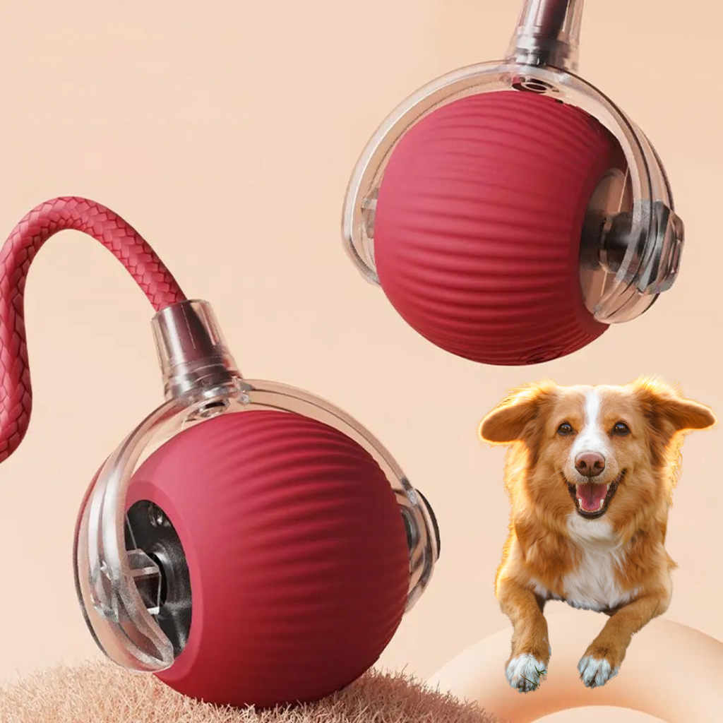 Skanto | Jouet Interactif à Roulettes pour Chiens avec Queue