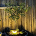 Lampes solaires de jardin pour allée avec lumière LED chaude et boîtier en acier inoxydable