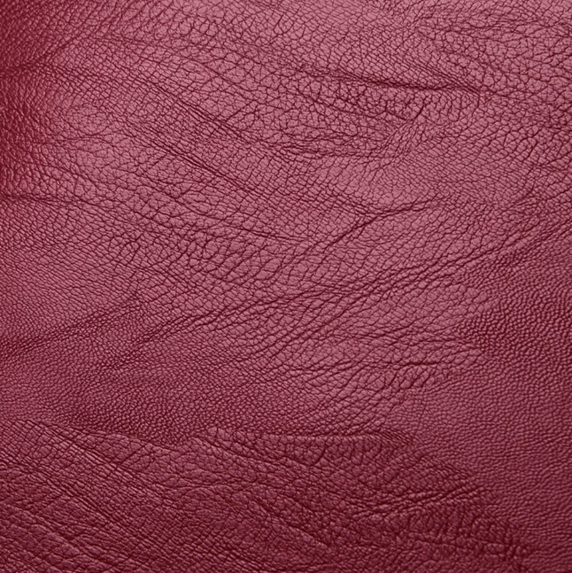 Sac à dos en cuir imperméable premium pour femmes