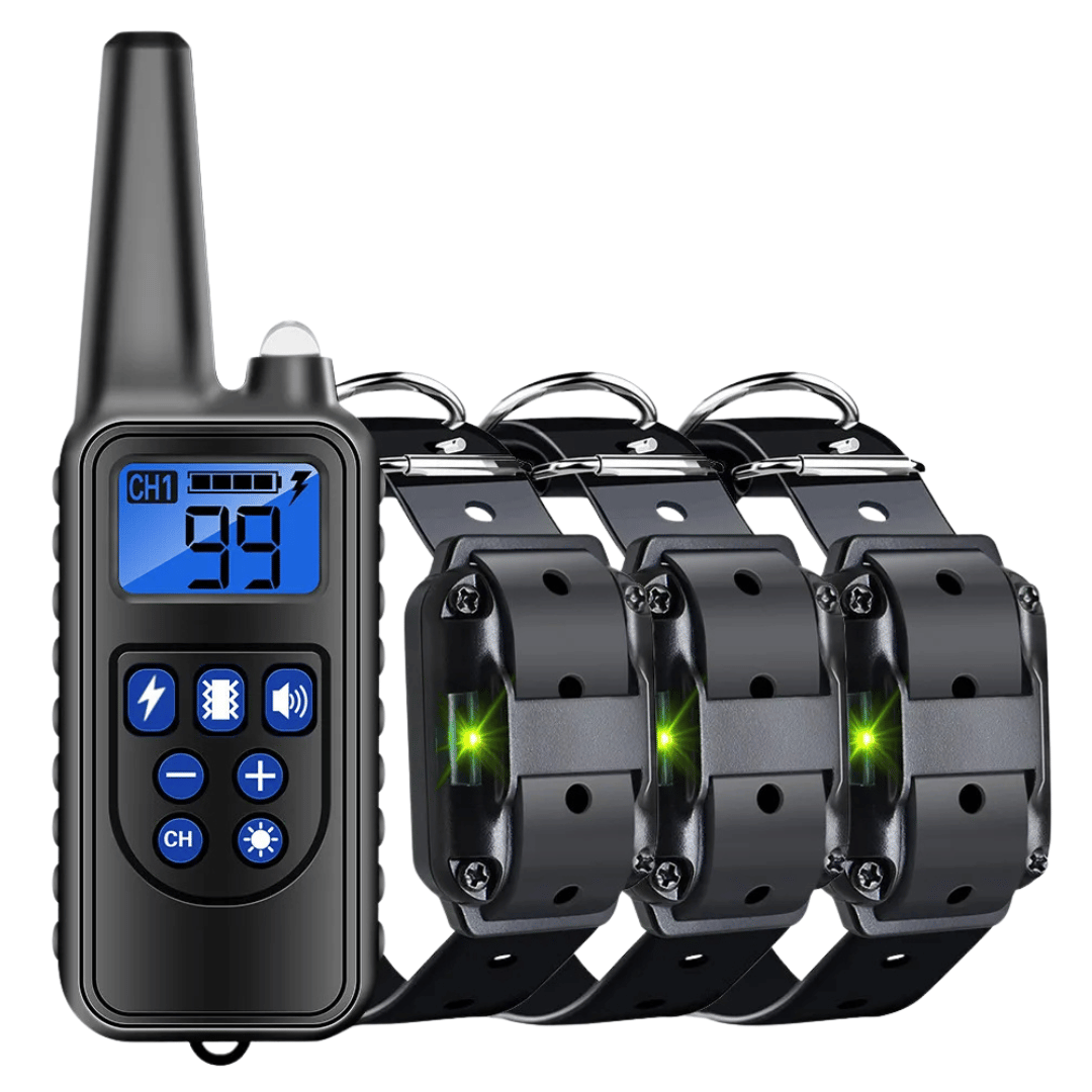 Collier de Dressage Étanche pour Chien avec Télécommande (800m)