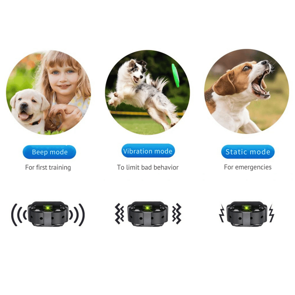 Collier de Dressage Étanche pour Chien avec Télécommande (800m)
