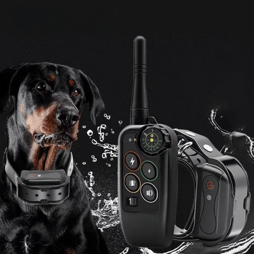 Collier de dressage pour chien étanche à longue portée de 1000m & télécommande