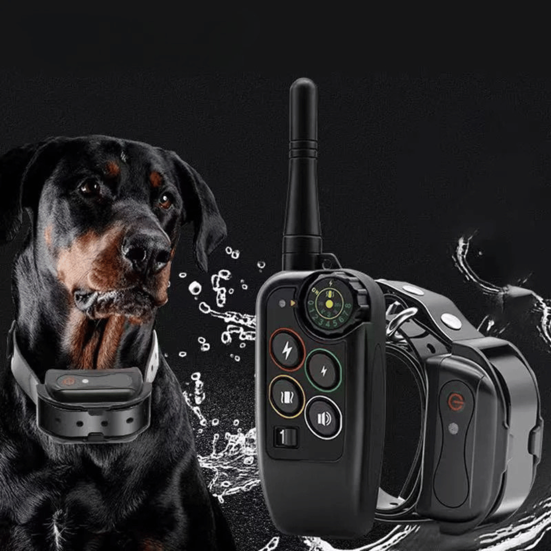 Collier de dressage pour chien étanche à longue portée de 1000m & télécommande