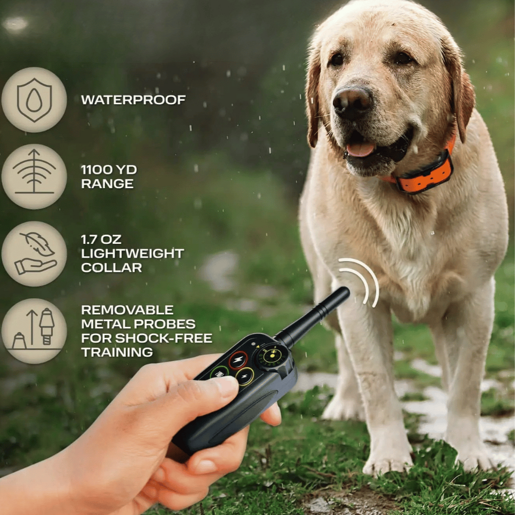 Collier de dressage pour chien étanche à longue portée de 1000m & télécommande