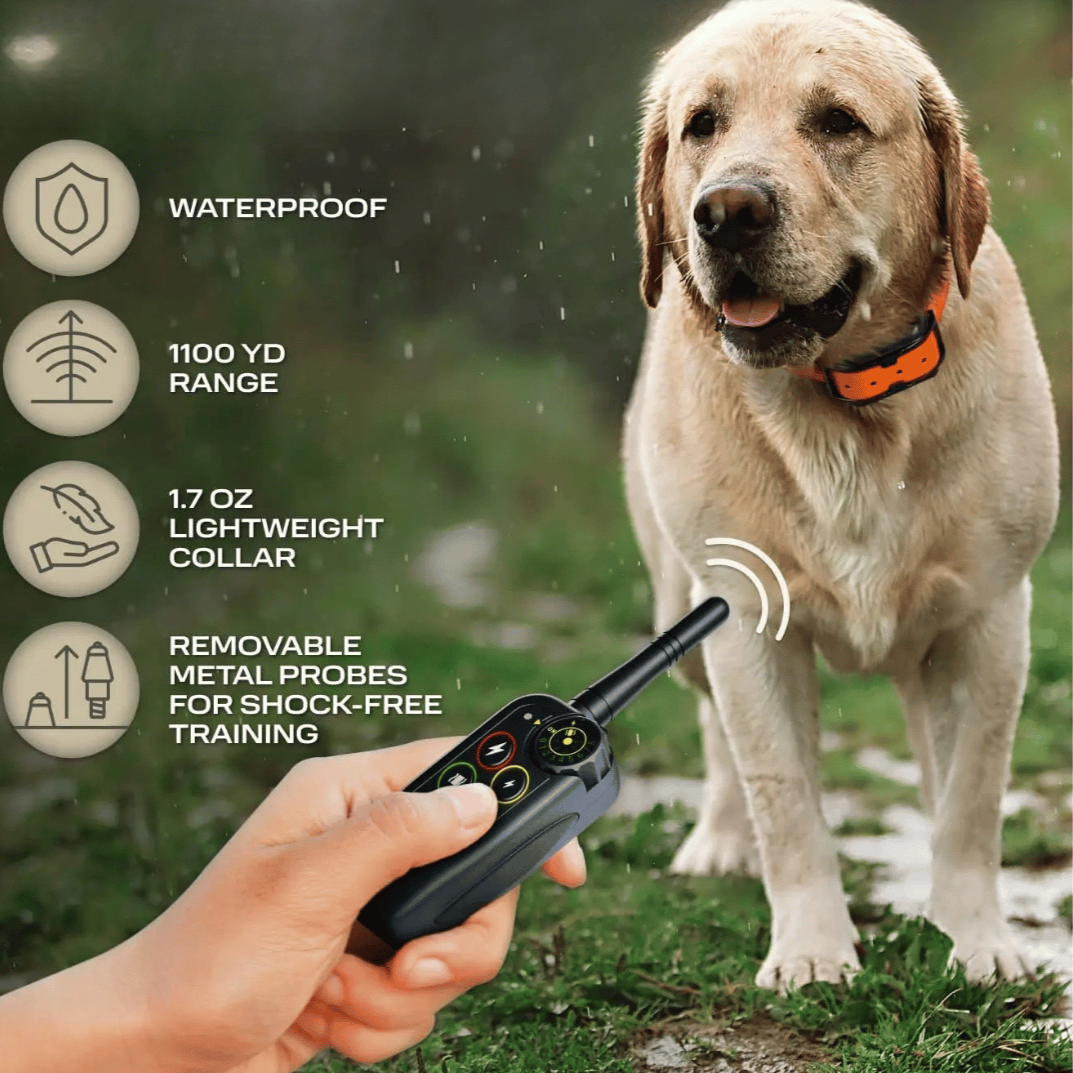 Collier de dressage pour chien étanche à longue portée de 1000m & télécommande
