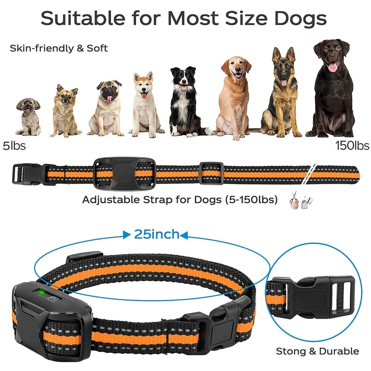 Collier de Dressage Électronique Étanche pour Chien avec Télécommande de 3300Ft