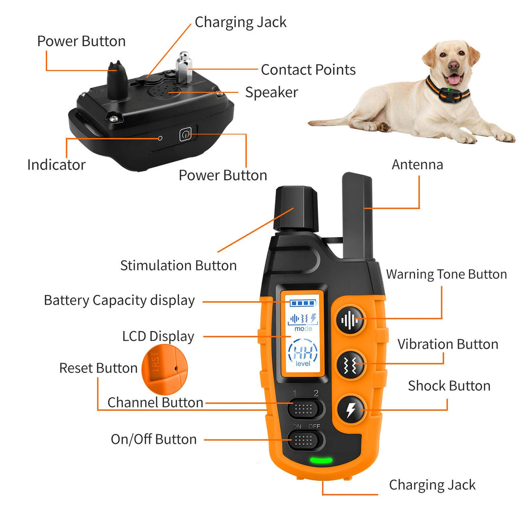 Collier de Dressage Électronique Étanche pour Chien avec Télécommande de 3300Ft