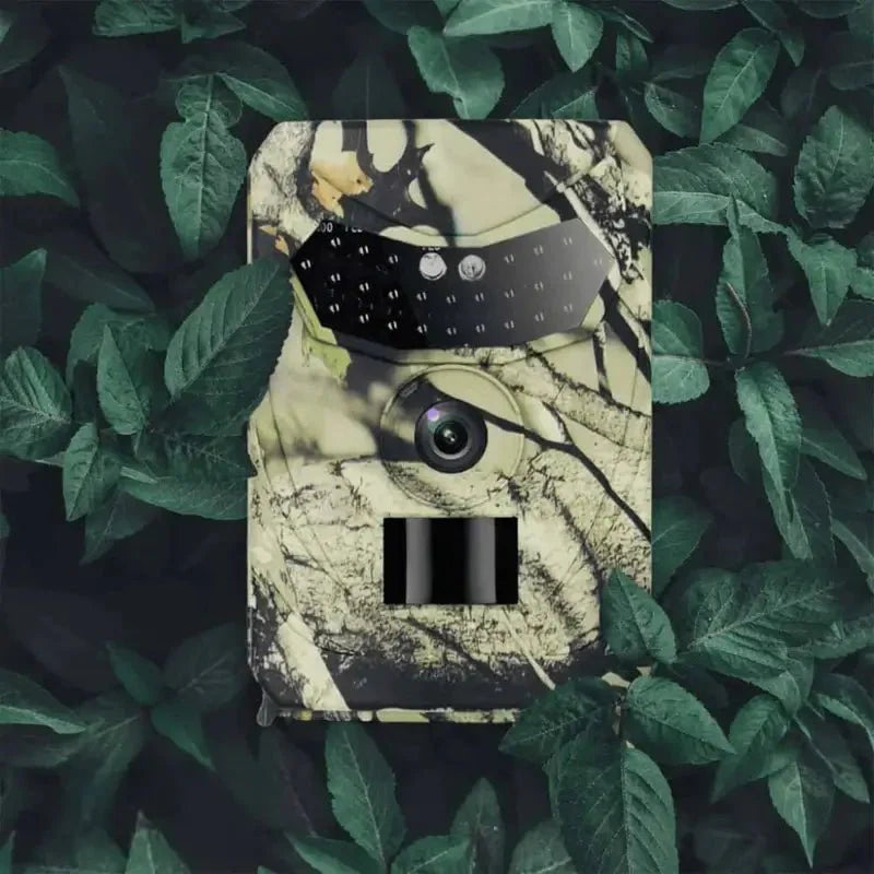 Scout Œil Sauvage