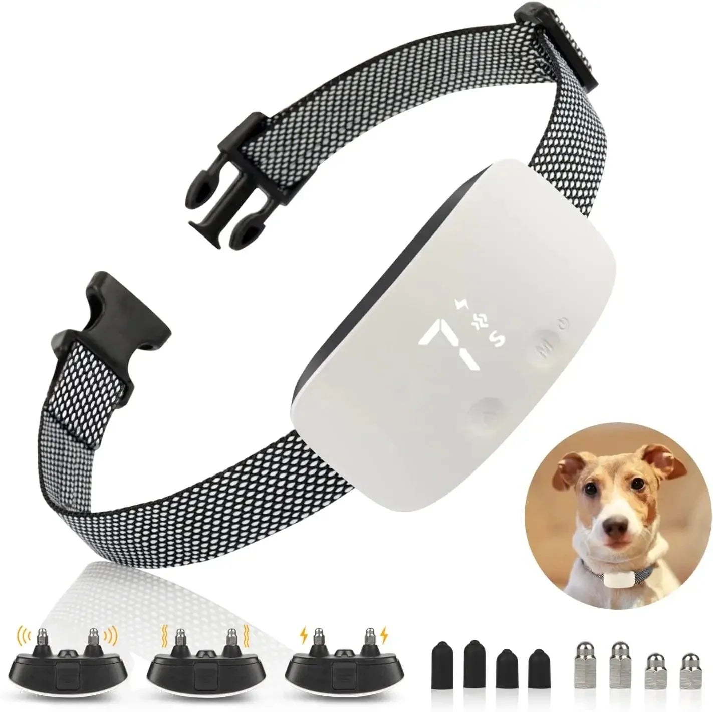 Collier Anti-Aboiement pour Chien | Rechargeable & Étanche