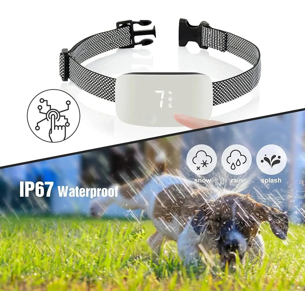 Collier Anti-Aboiement pour Chien | Rechargeable & Étanche