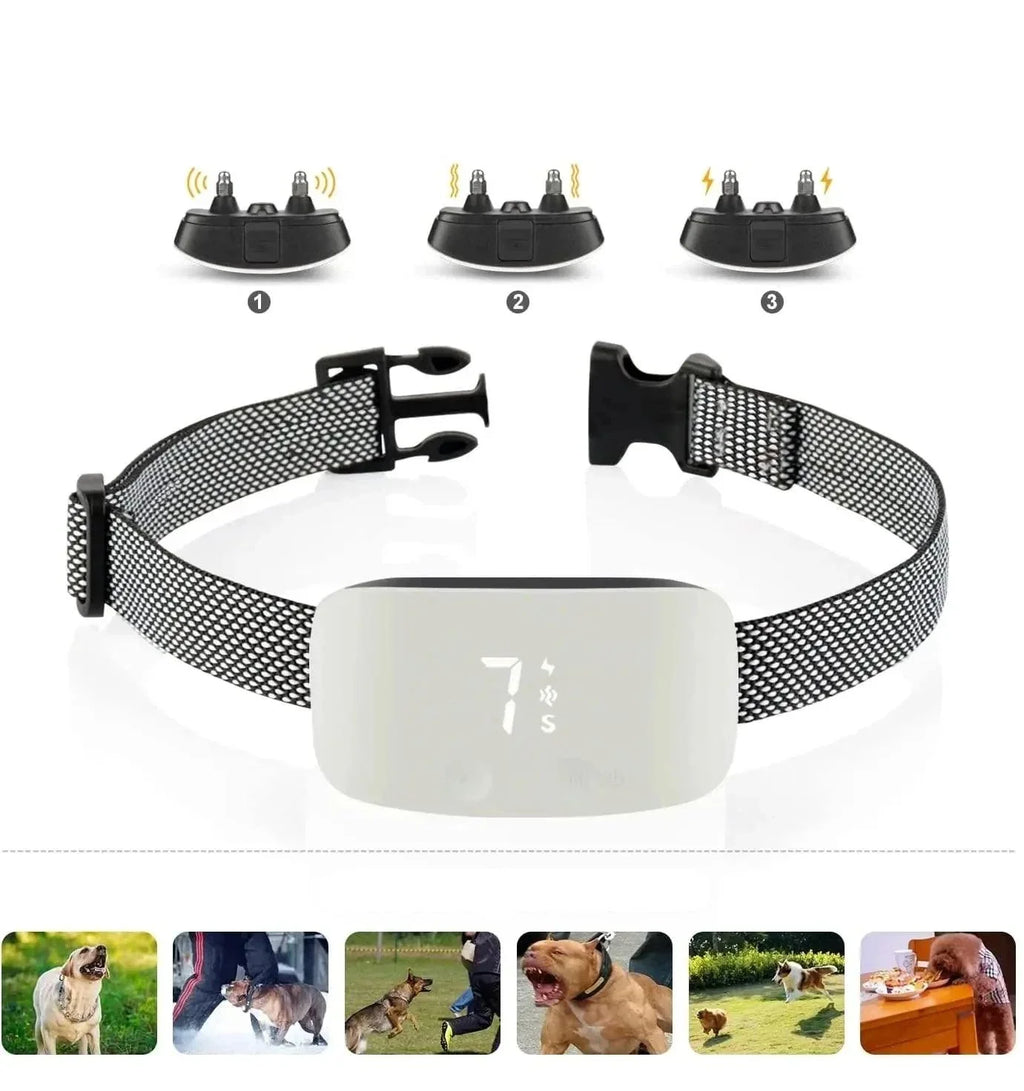 Collier Anti-Aboiement pour Chien | Rechargeable & Étanche
