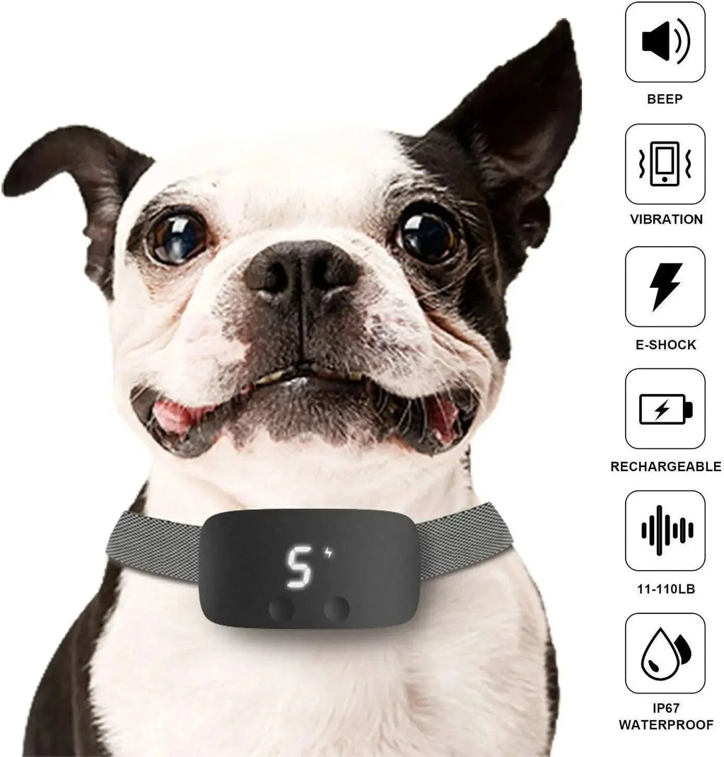 Collier Anti-Aboiement pour Chien | Rechargeable & Étanche